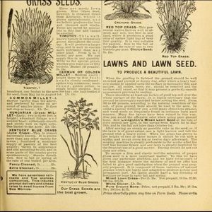 Meet your Posher, Jackson